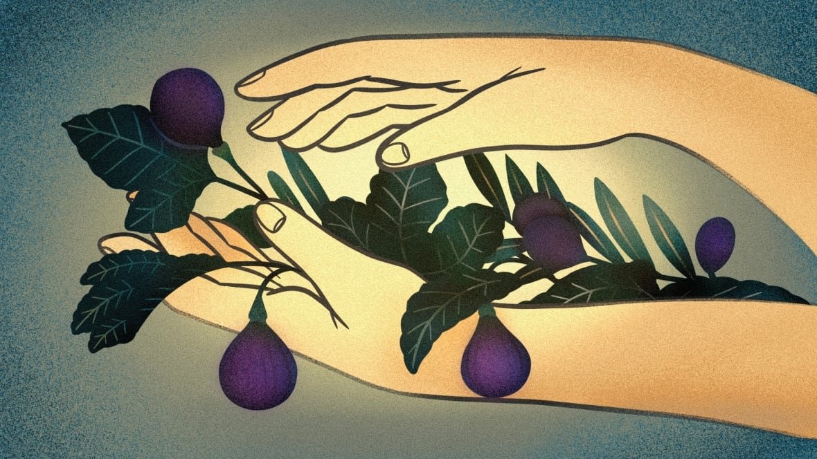 my-father-s-soil-by-zeina-sleiman An illustration of two hands holding a branch of figs