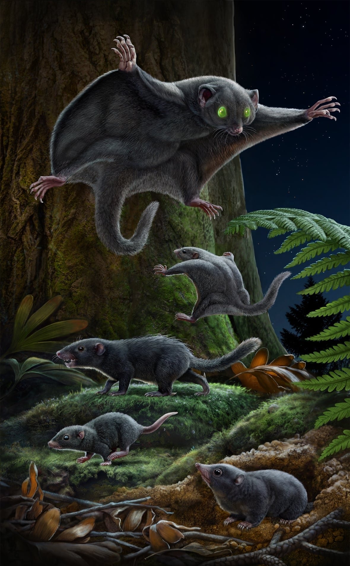 reconstruction-of-ancient-mammals-1 An artist's reconstruction of what ancient mammals looked like during the dinosaur era.