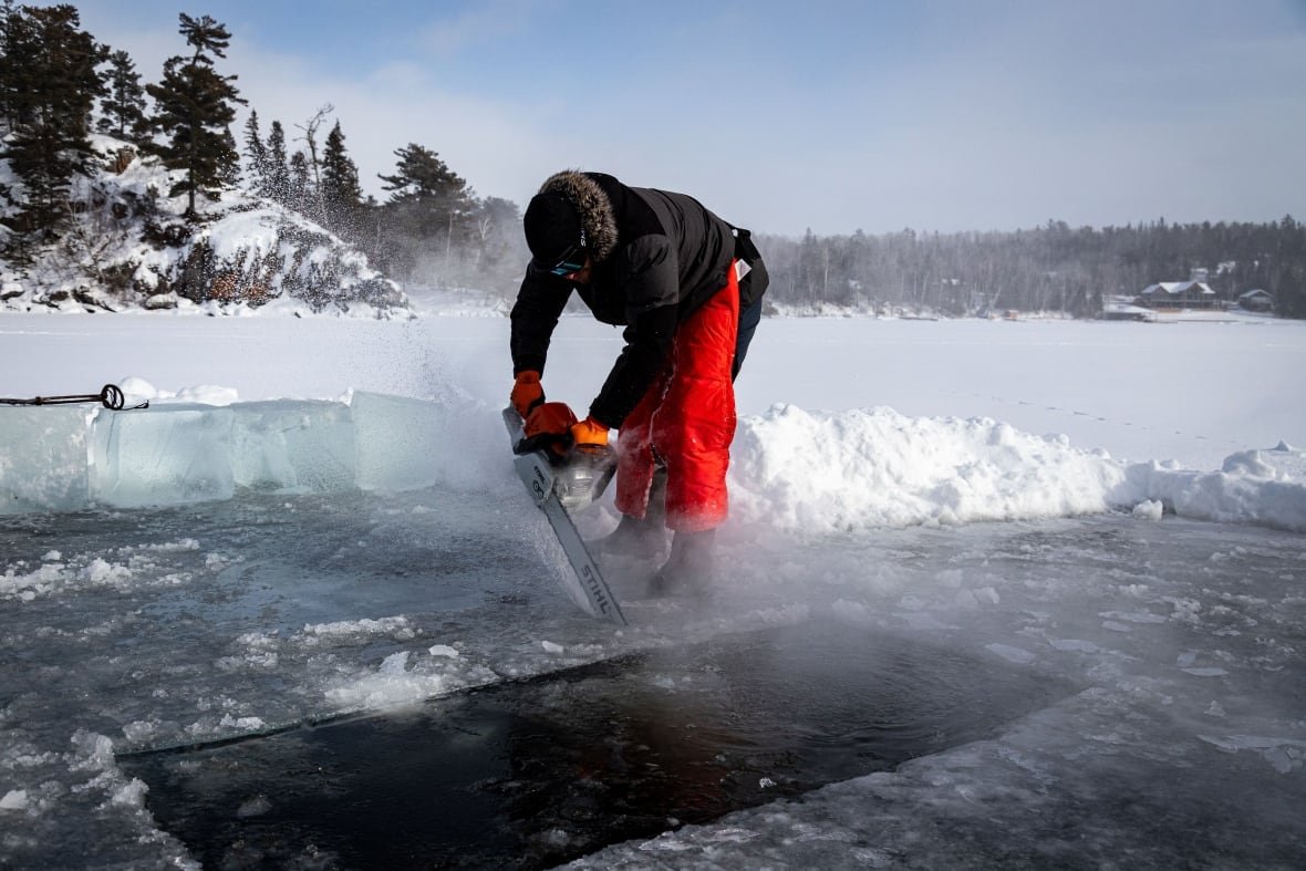 calum-cawley-frozen-ice a man with a chainsaw cuts the surface of a frozen lake into ice blocks. Its a sunny blue winter day behind him and blocks of ice pulled out of the water are visible just behind the man