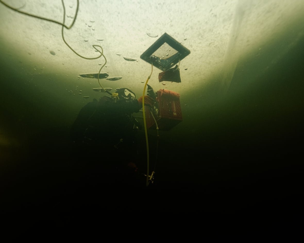 collecting-under-ice-algae A man in scuba gear uses a square shaped piece of plexiglass to grab algae from the bottom surface of the ice in a frozen lake, tubes come out of the container on either side. the light coming through the ice makes the scene look eerie
