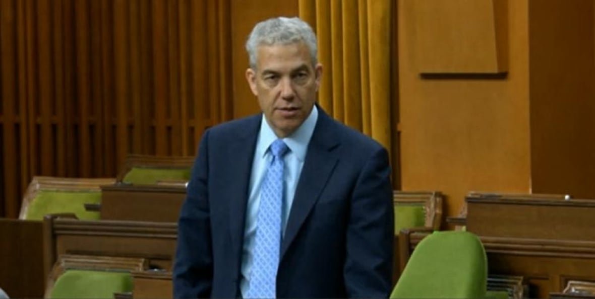 frank-baylis-june-14-2019 A man in a blue suit and tie stands and speaks in the House of Commons.
