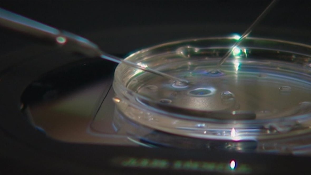 ivf-petri-dish A close up of a small dish with a needle touching the bottom of the glass.