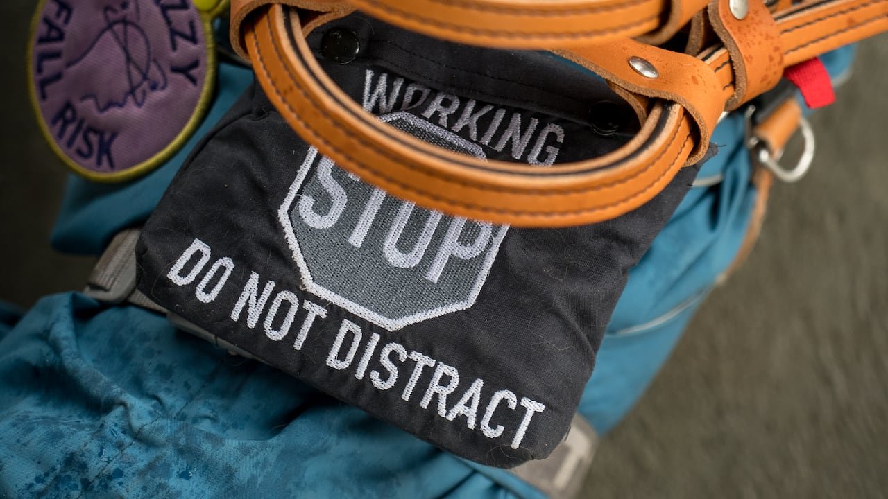 default-13 A service dog harness that says "working. stop. Do not distract."