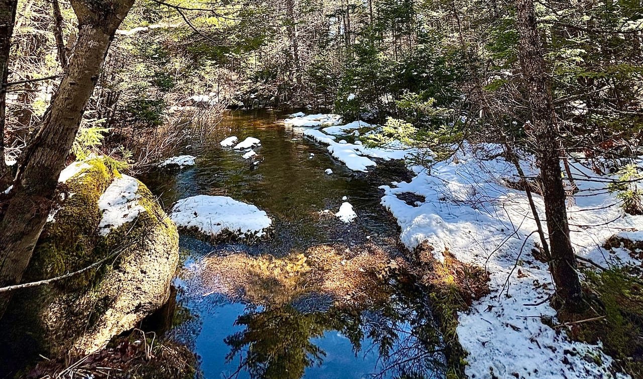 Image of snow melting into a creek