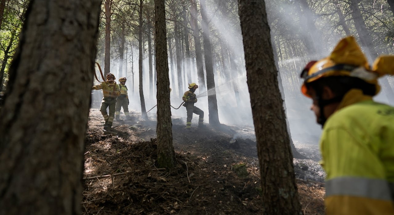 default-138 Firefighters spray water from hoses in a forest. Smoke surrounds them.